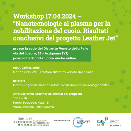 Mercoledì 17 aprile 2024:  Workshop su Nanotecnologie al Plasma